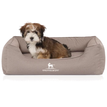 Ein kleiner, flauschiger Hund sitzt bequem in einem beigen Haustierbett mit dem Logo "KNUFFELWUFF", das prominent auf der Vorderseite angezeigt wird.