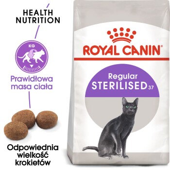 Torba karmy dla kotów Royal Canin Regular Sterilised z ilustracją czarnego kota, podkreślająca rozmiar krokietów i zdrowe odżywianie.
