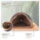 Eine Nahaufnahme von zwei Schwalben in einem Nest, wobei ein Vogel den anderen füttert. Text in der Ecke erklärt die Brutgewohnheiten von Schwalben.