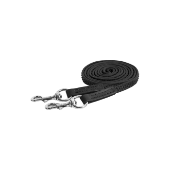 Schwarze Haustierleine mit zwei Clips, mit strukturiertem Griff und spiralförmigem Design, vor einem weißen Hintergrund präsentiert.