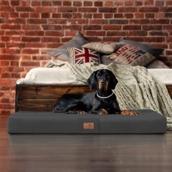 Ein schwarzer Dobermann liegt auf einem grauen Hundebett in einem gemütlichen Raum mit einer Ziegelwand, umgeben von dekorativen Kissen und einer gestrickten Decke.