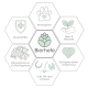 Infografik mit Hexagonen, die die gesundheitlichen Vorteile von Hefe für Haustiere zeigt: Immunität, Wohlbefinden, Nährstoffe, Darmgesundheit und Hautpflege.