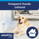 Gelber Labrador liegt im Wohnzimmer neben ADAPTIL Steckdosen-Diffusor; sichtbare Texte: „Entspannt Hunde zuhause“, „ADAPTIL Calm“, „70 m²“.