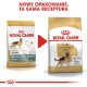 German Shepherd Adult 2x11 kg