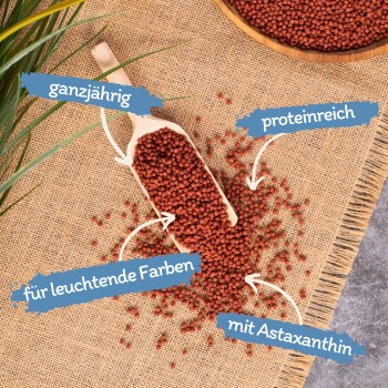 Rote Fischfutterpellets in einer Holzschaufel auf Jute, beschriftet mit "ganzjährig", "proteinreich", "für leuchtende Farben" und "mit Astaxanthin."