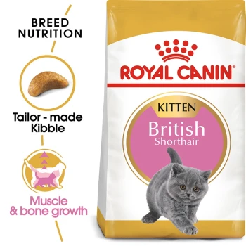 Royal Canin British Shorthair kitten food bag with a gray kitten, emphasizing breed nutrition and tailored kibble for growth.