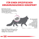 Katzensilhouette mit einer Nierengrafik, die die Ernährungsbedürfnisse und Symptome für Katzen mit Nierenfunktionsstörungen hervorhebt.