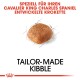 Kibble-Stück mit Designskizzen und Text: "SPEZIELL FÜR IHREN CAVALIER KING CHARLES SPANIEL" und "TAILOR-MADE KIBBLE."