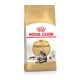 Maine Coon Adulte Croquettes Chat 400 g