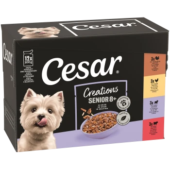 Cesar Creations Senior 8+ Hundefutterbox, 12×100 g, Schüssel mit Nassfutter, Foto eines kleinen Hundes und farbige Geschmacksfelder.