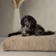 Oxford Orthopaedic Mattress beige XL