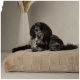 Ein schwarz-grauer Hund, der auf einem plüschigen beigen Haustierbett entspannt, mit einem strukturierten Design, neben einer hohen, gemusterten Vase mit getrockneten Pflanzen.