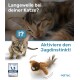 Nahaufnahme einer neugierigen getigerten Katze mit dem Text „Langeweile mit Ihrer Katze?“ und „Aktivieren Sie den Jagdinstinkt!“ mit einem Vogelspielzeug.