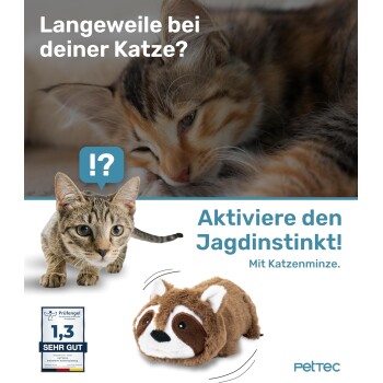 Bild, das ein Haustierspielzeug für Katzen bewirbt, mit einem plüschigen Waschbär-Spielzeug und dem Text "Aktiviere den Jagdinstinkt! Mit Katzenminze."