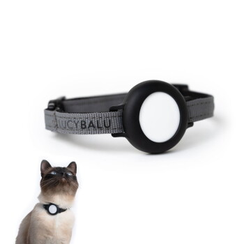 Ein graues Katzenhalsband mit einem schwarzen runden Anhänger, der den Markennamen 'LUCY BALU' zeigt, neben einer Siamkatze, die nach oben schaut.