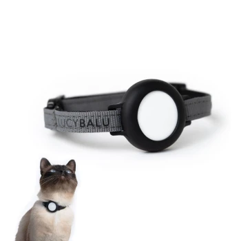 Ein graues Katzenhalsband mit einem schwarzen runden Anhänger, der den Markennamen 'LUCY BALU' zeigt, neben einer Siamkatze, die nach oben schaut.