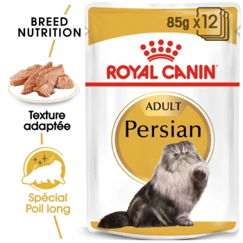 Emballage de nourriture pour chat Royal Canin Adult Persian, mettant en vedette un chat persan duveteux, avec du texte soulignant "Nutrition de race" et "Texture adaptée."