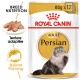 Emballage de nourriture pour chat Royal Canin Adult Persian, mettant en vedette un chat persan duveteux, avec du texte soulignant "Nutrition de race" et "Texture adaptée."