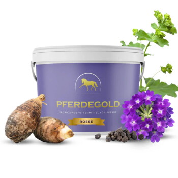 Lila Dose mit der Aufschrift 'PFERDEGOLD' und 'ROSSE' (Ergänzungsfuttermittel für Pferde) mit Knollen, Pfefferkörnern und lila Blumen.