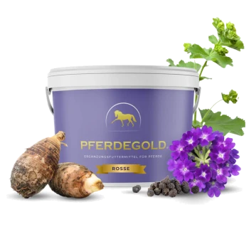 Lila Dose mit der Aufschrift 'PFERDEGOLD' und 'ROSSE' (Ergänzungsfuttermittel für Pferde) mit Knollen, Pfefferkörnern und lila Blumen.