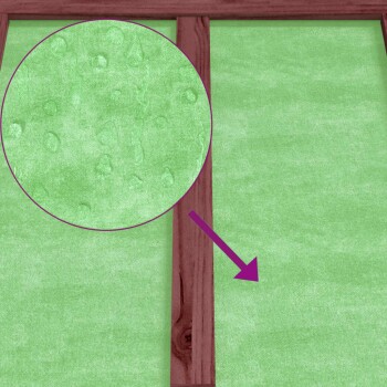 Nahaufnahme eines grünen Haustier-Pads mit Wassertropfen, hervorgehoben durch einen lila Pfeil und Kreis auf einer Holzoberfläche.