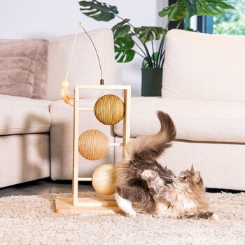 Zabawny kot bawi się drewnianą zabawką dla kota z trzema teksturowanymi kulkami i zwisającym piórkiem, w przytulnym salonie.