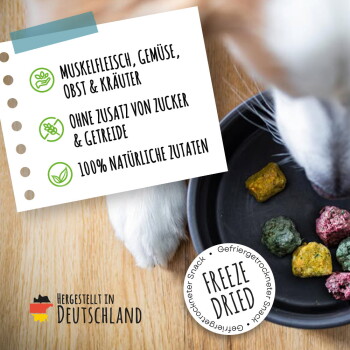 Hund frisst bunte gefriergetrocknete Leckerlis; deutscher Hinweis: 'Ohne Zusatz von Zucker & Getreide'; 'Freeze Dried'; in Deutschland