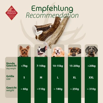 Diagramm, das Haustierprodukte für verschiedene Hunderassen nach Gewichtskategorien (<7kg bis >20kg) und Größen (S bis XXL) empfiehlt.