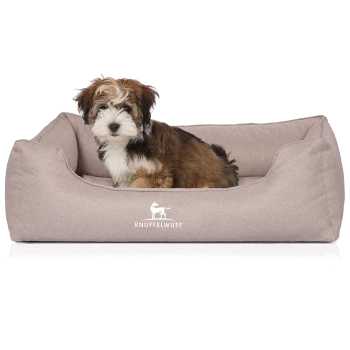 Ein kleiner, flauschiger Welpe mit braunem und weißem Fell sitzt bequem in einem beigen Hundebett, auf dem das Logo "KNUFFELWUFF" zu sehen ist.