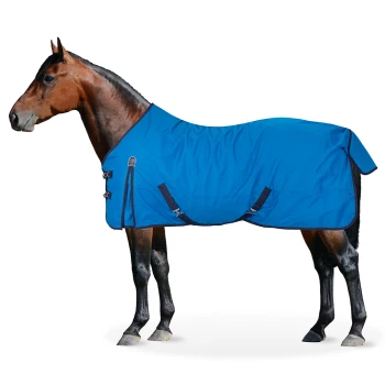 Ein braunes Pferd mit einer hellblauen Decke, das vor einem weißen Hintergrund steht. Die Decke hat verstellbare Riemen.