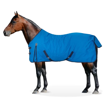 Ein braunes Pferd mit einer hellblauen Decke, das vor einem weißen Hintergrund steht. Die Decke hat verstellbare Riemen.
