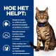 Een Bengaal kat met een blauwe halsband staat naast tekst over de voordelen voor de tandgezondheid, inclusief plaqueverwijdering en immuunondersteuning.