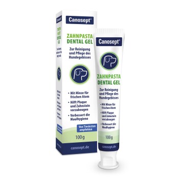 Zahnpflege Dental Gel 100g