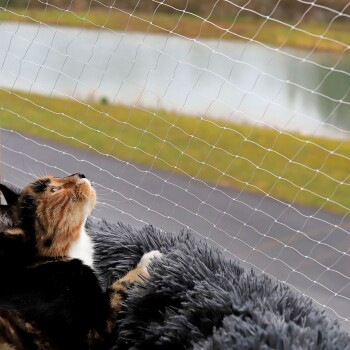 Katzennetz inkl. Befestigung