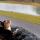 Katzennetz inkl. Befestigung