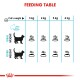 Feeding table for cats showing recommended daily food amounts based on weight (3-6 kg) for ideal and overweight categories.