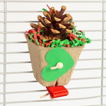 Knabberspielzeug Pinecone Cup