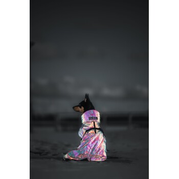 Ein Hund trägt einen bunten, schillernden Regenmantel mit dem Markennamen "PAIKKA" am Kragen und sitzt im Freien.