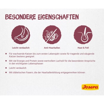 Ein einzelnes braunes Haustierfutter-Kibble ist im Bild zentriert, umgeben von gelben Pfeilen, die Bewegung oder Rotation anzeigen.