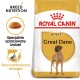 Torba z karmą dla psów Royal Canin Adult Great Dane z sylwetką doga, z tekstem podkreślającym odżywianie rasy i specjalnie opracowaną karmą.
