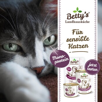 Nahaufnahme einer grau-weißen Katze mit grünen Augen neben einer "Betty's Landhausküche" Katzenfutterauslage, beschriftet mit "Für sensible Katzen" und "Mono-Protein."