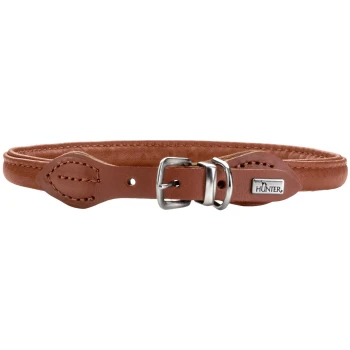 Brauner Lederhundehalsband mit einer silbernen Schnalle und einem kleinen Metallschild mit der Aufschrift "HUNTER."