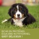 Un chiot noir et blanc allongé sur de l'herbe verte, avec un texte superposé indiquant "Riche en protéines, équilibre nutritionnel, goût délicieux!"