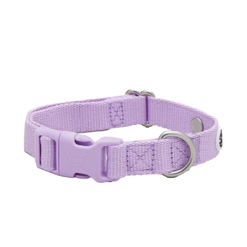 Lila Hundehalsband mit einer Kunststoffschnalle und einem Metall-D-Ring zur Leinenbefestigung, mit einem subtilen Hundesilhouetten-Design.