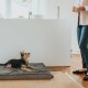 Orthopädische Hundematte Tirano schwarz 60 cm, 8 cm, 60 cm