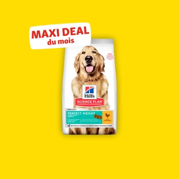 Hill's Science Plan hondenvoerzak (Perfect Weight, Kip) met een golden retriever en een 'MAXI DEAL du mois' banner op een gele achtergrond.