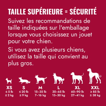 Tableau des tailles en magasin pour animaux : texte français 'TAILLE SUPÉRIEURE = SÉCURITÉ' avec silhouettes de chiens étiquetées XS–XXL et plages de poids