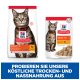 Emballage de nourriture pour chats Hill's Science Plan avec un chat tigré, mettant en avant "ADULT 1-6" et des avantages pour l'immunité et la digestion.