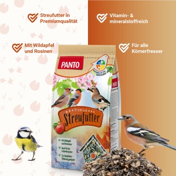 Eine Nahaufnahme eines Haufens Vogelfutter, das eine Mischung aus Sonnenblumenkernen, kleinen Kieseln und verschiedenen Körnern auf einem weißen Hintergrund zeigt.