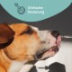 Nahaufnahme eines Hundegesichts mit herausgestreckter Zunge, während eine Pipette nahe seinem Mund gehalten wird. Der Text darüber lautet "Einfache Dosierung."
